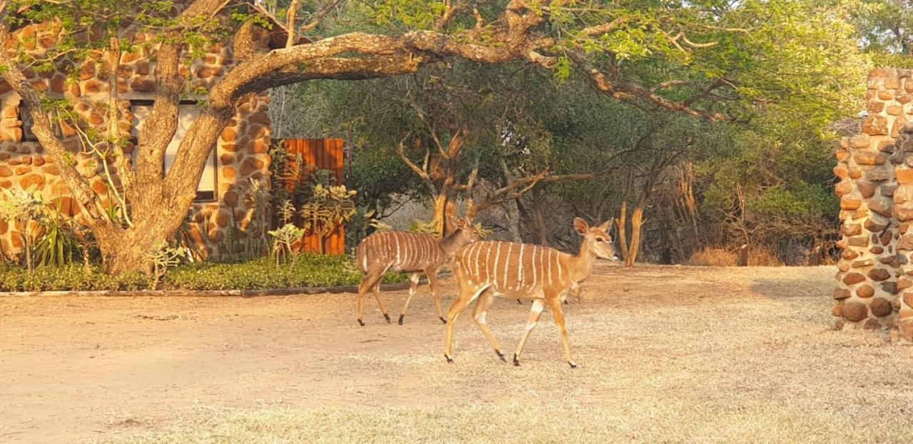 Belvedere Game Ranch Villa Magudu ภายนอก รูปภาพ